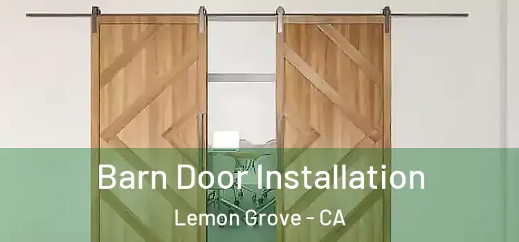 Barn Door Installation Lemon Grove - CA
