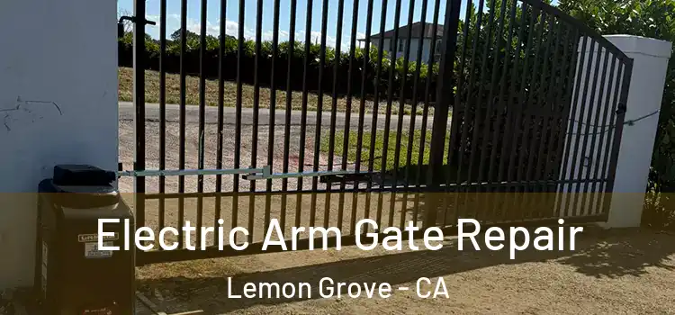 Electric Arm Gate Repair Lemon Grove - CA