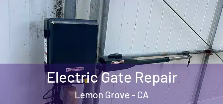 Electric Gate Repair Lemon Grove - CA