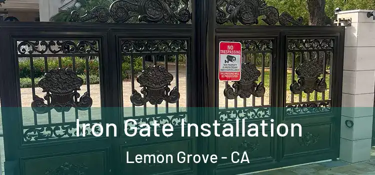 Iron Gate Installation Lemon Grove - CA