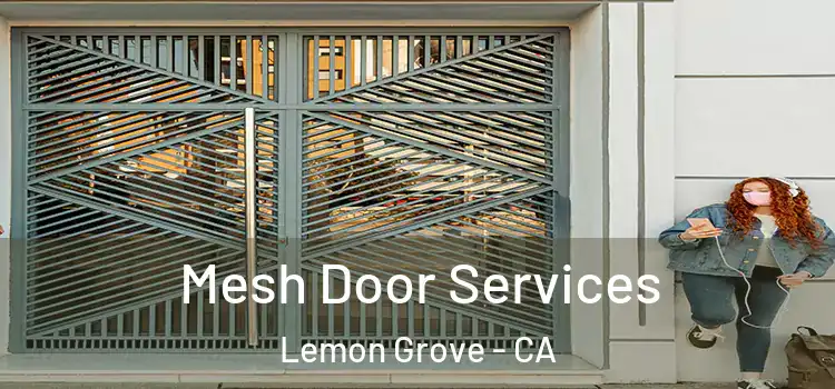 Mesh Door Services Lemon Grove - CA